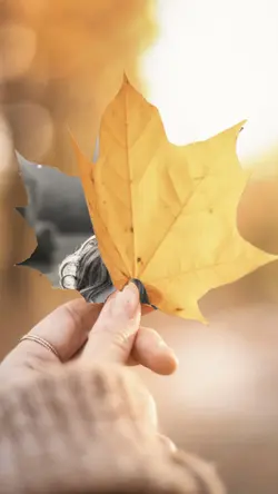 秋🍁 写真5枚