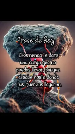 Frase de hoy 