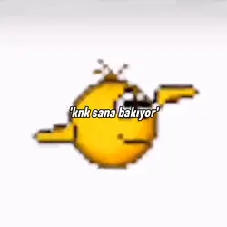 SHAKEİTSHAKEİT