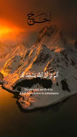 quran template 