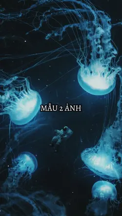 MẪU 2 ẢNH