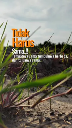 motivasi 