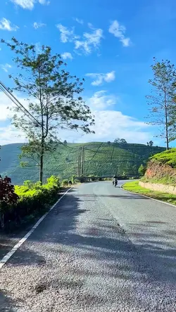 6 video road trip