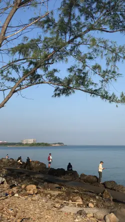 cut beach