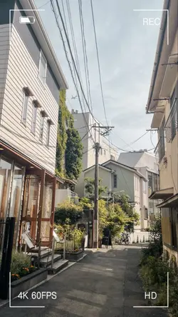 夏