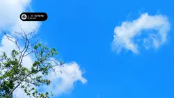 HD + JERNIH 