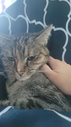 wiiii