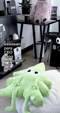Kawasan para ceo