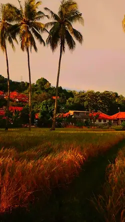 suasana sore hari