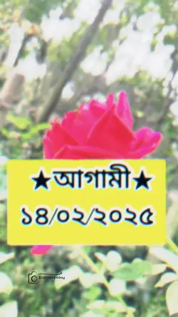 ১৪তারিখ
 শবে বরাত 