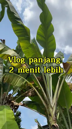 Vlog panjang