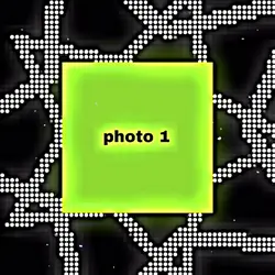 phonk