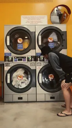 laundry time
