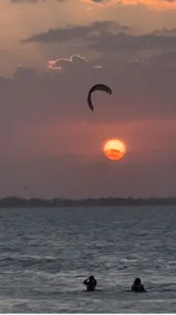 Pordosol