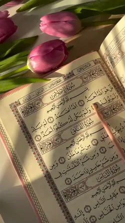 Quran 