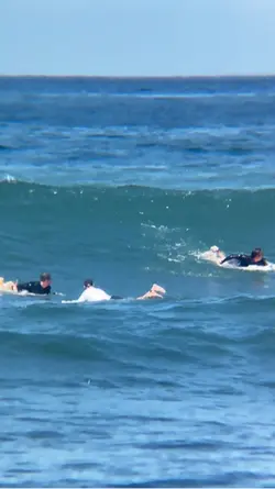Surfing