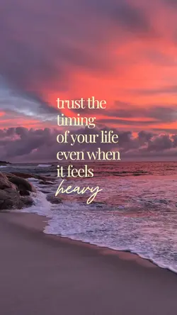 trust the timing