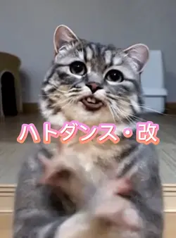 鳩ダンス・改