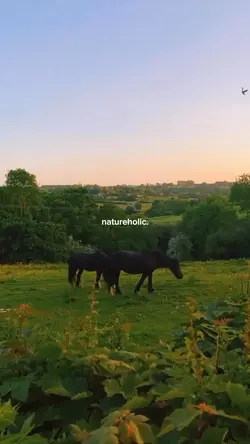 Naturholic