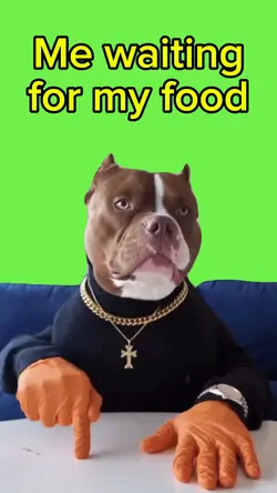 Where is my food?