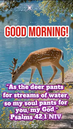 Deer Pants for Water