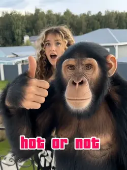Hot or Not