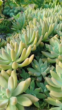 natureza