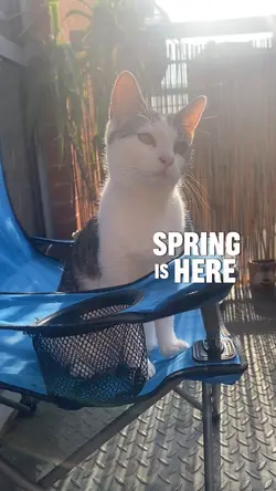 Sisters in Spring 