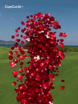 花びらフェードアウトai