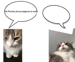 Ok piter lacras