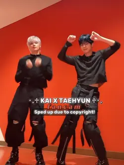 FANCAM