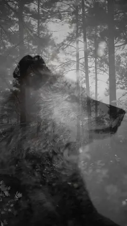 WOLF SPIRIT 