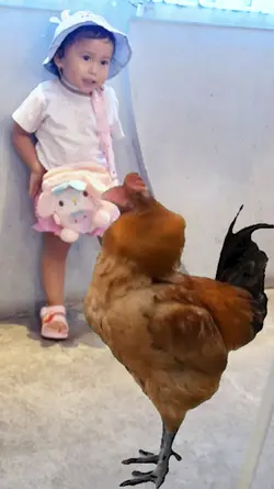 Before We EatChicken