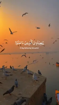 কুরআন তেলাওয়াত ..
