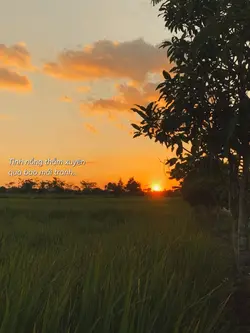 Tình thắm duyên quê