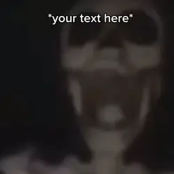 skeleton meme