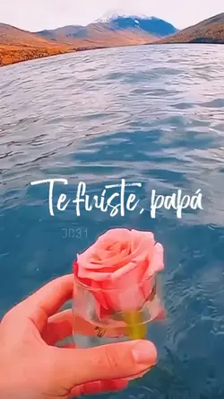 Te fuiste papá 💔