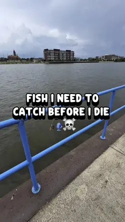Fish I need