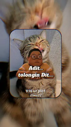 NO MIRROR Adit