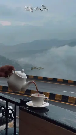 Tea Poetry in Rain