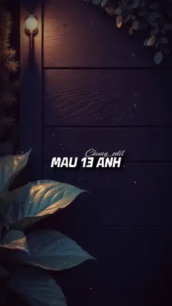 Mẫu 13 ảnh