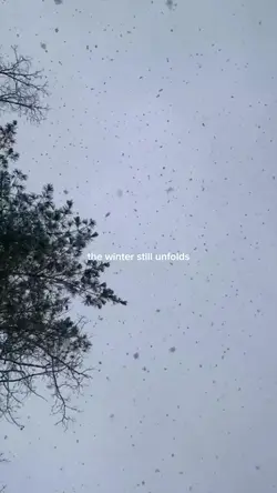 the winter