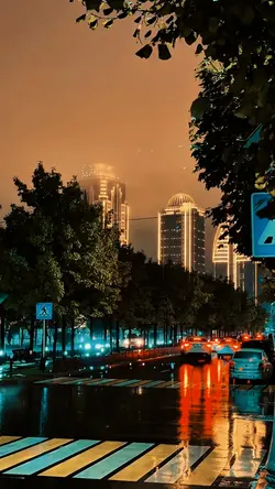 Night City Vibes
