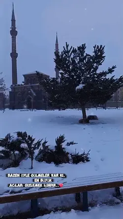 Yeni şablon 