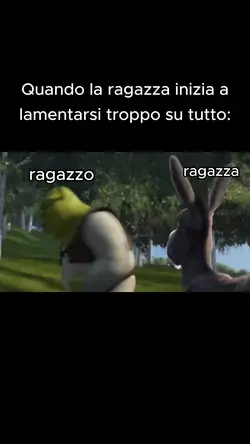 Litigio