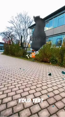 Tesla trash