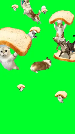 Weeee pets