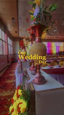 Indian wedding 
