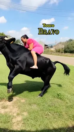 Touro IA