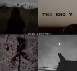 4 fotoğraflı edit